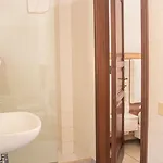 Hotel Al Paradise